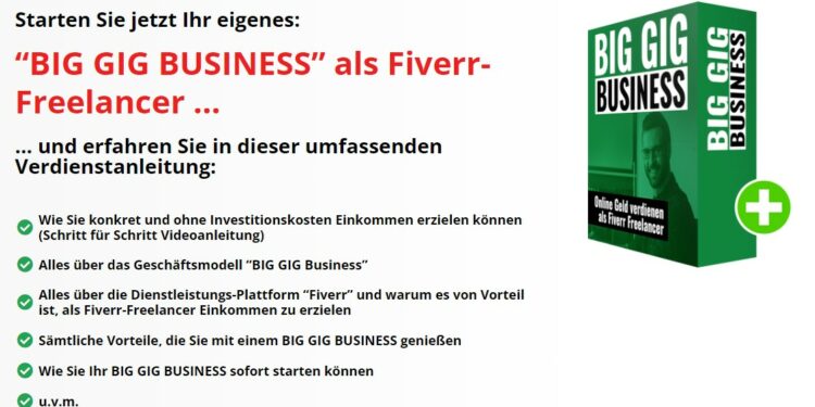 BIG GIG Business Erfahrungen – Einkommen als Fiverr Freelancer.