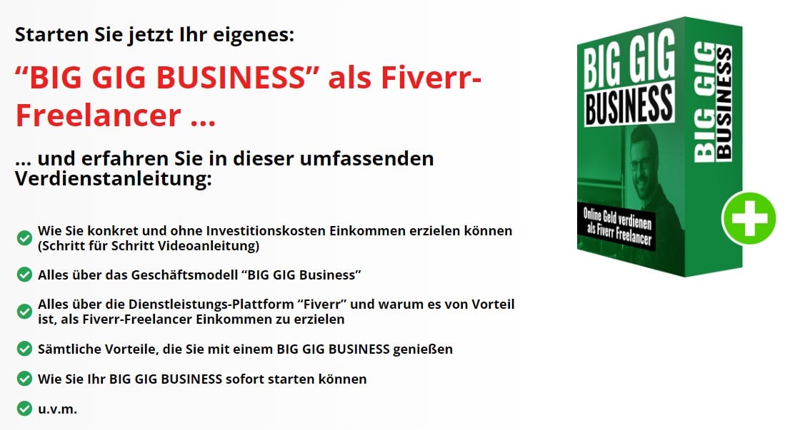 BIG GIG Business Erfahrungen – Einkommen als Fiverr Freelancer.